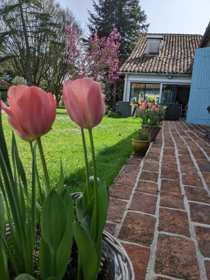 Sarron Domaine Du Tafiart Bed & Breakfast エクステリア 写真