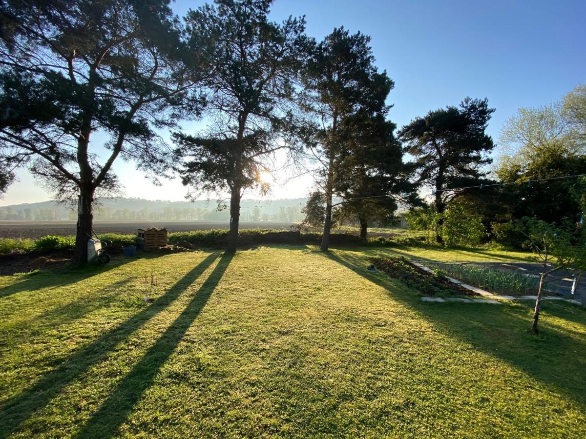 Sarron Domaine Du Tafiart Bed & Breakfast エクステリア 写真